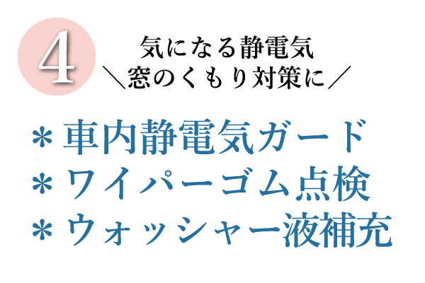 レディースデイ_500_04