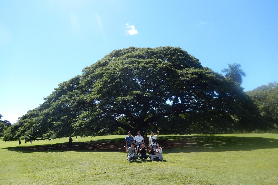 各種制度・取り組み  採用情報  奈良トヨタ｜トヨタの新車・中古車 