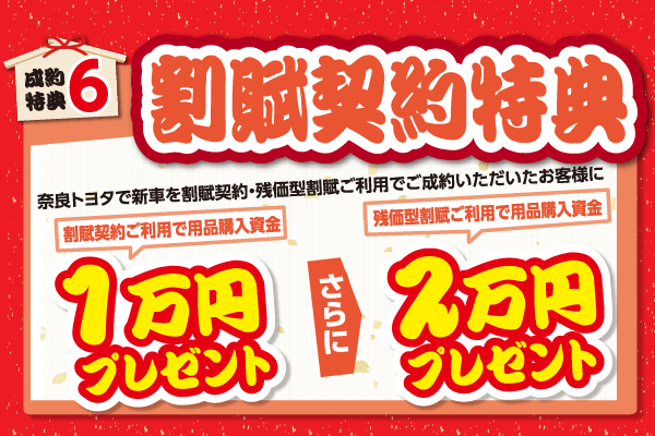 N_キャンペーン_2019初売り大商談会_特典6