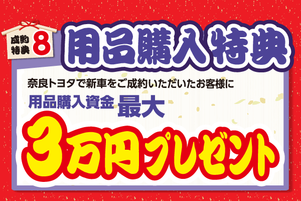N_キャンペーン_2019初売り大商談会_特典8